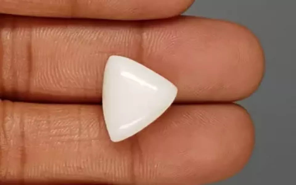 Italian White Coral - 12.87 Carat Limited Quality TWC-22087