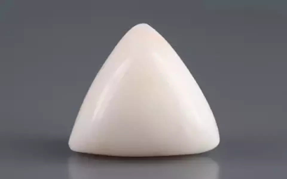 Italian White Coral - 12.88 Carat Limited Quality TWC-22089