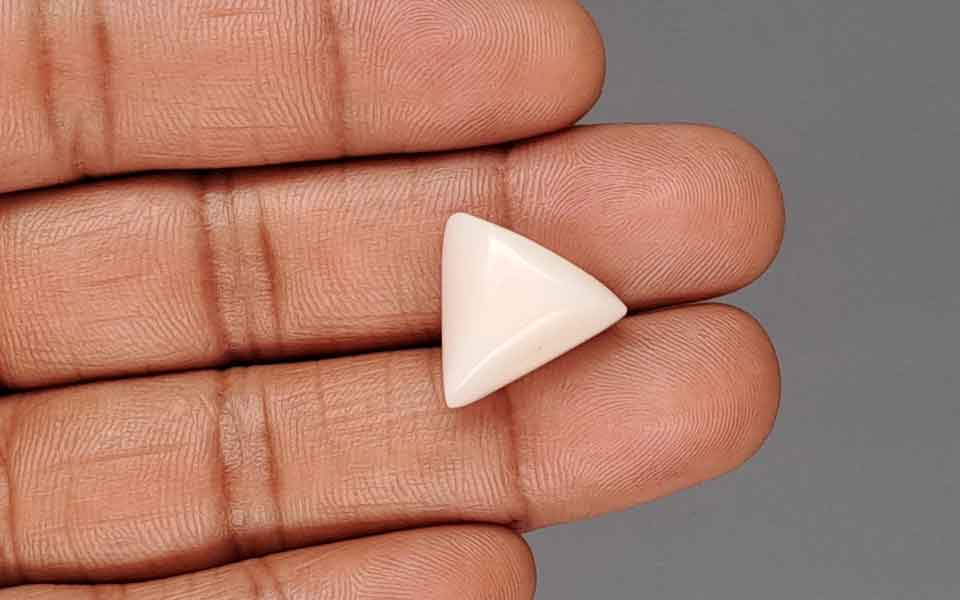 Italian White Coral - 12.88 Carat Rare Quality TWC-22100