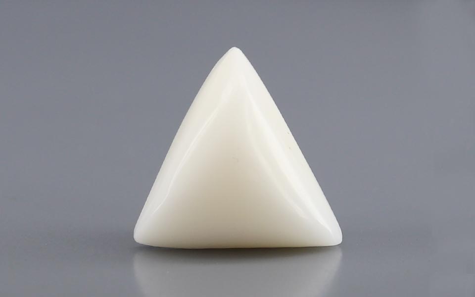 Italian White Coral - 12.88 Carat Rare Quality TWC-22100