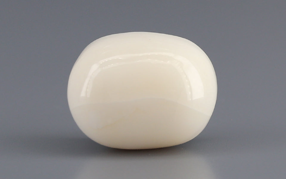 Italian White Coral - 12.9 Carat Prime Quality WC-7612