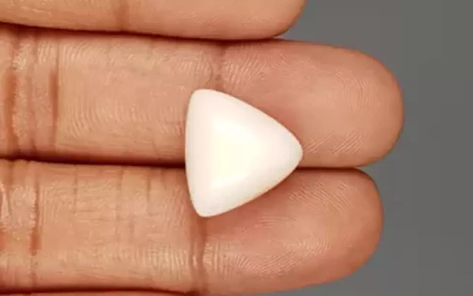 Italian White Coral - 15.55 Carat Limited Quality TWC-22060