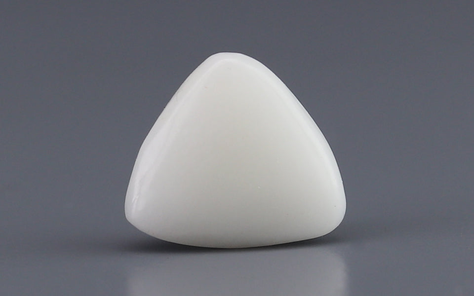 Italian White Coral - 2.08 Carat Prime Quality TWC-22003