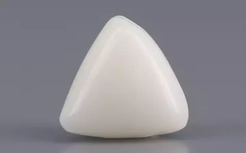 Italian White Coral - 3.16 Carat Limited Quality TWC-22013