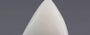 Italian White Coral - 3.6 Carat Limited Quality TWC-22007