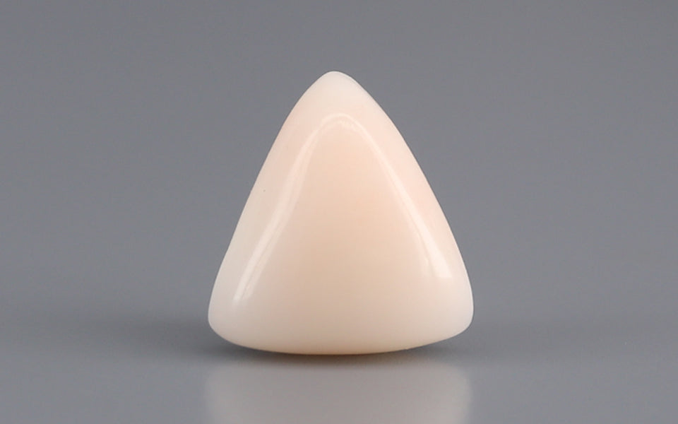Italian White Coral - 5.23 Carat Limited Quality TWC-22078
