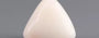 Italian White Coral - 5.32 Carat Limited Quality TWC-22074