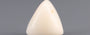 Italian White Coral - 6.07 Carat Limited Quality TWC-22073