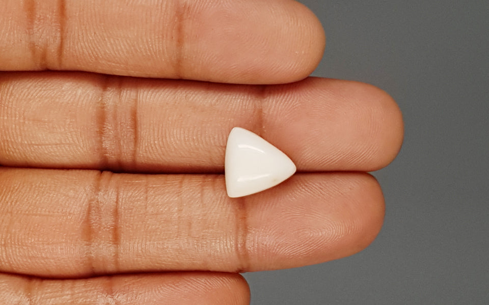 Italian White Coral - 6.07 Carat Limited Quality TWC-22073