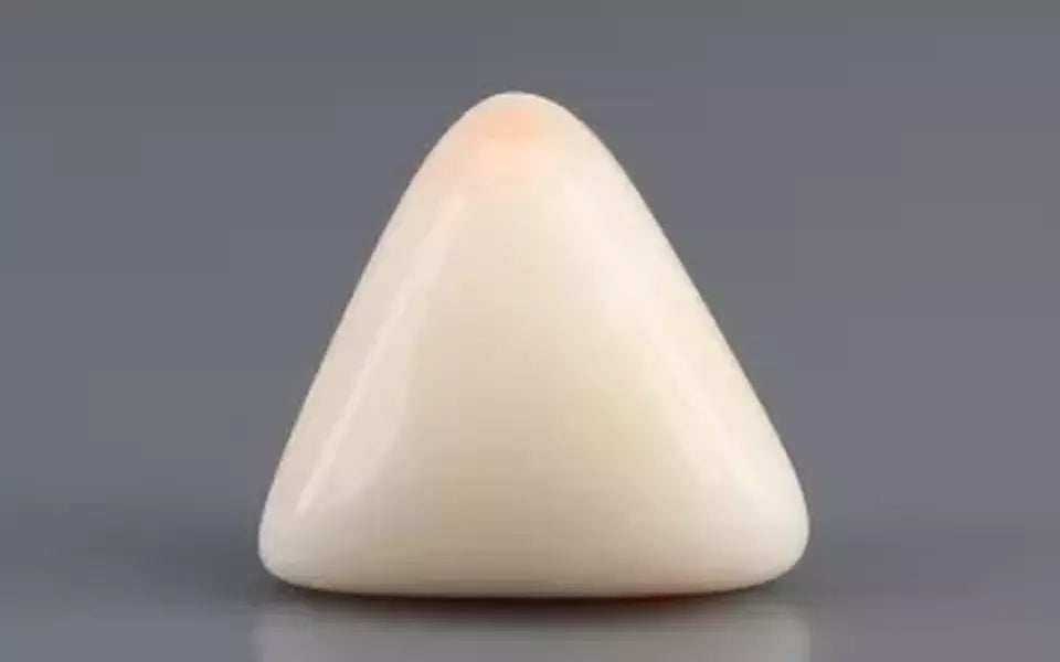 Italian White Coral - 6.72 Carat Limited Quality TWC-22048