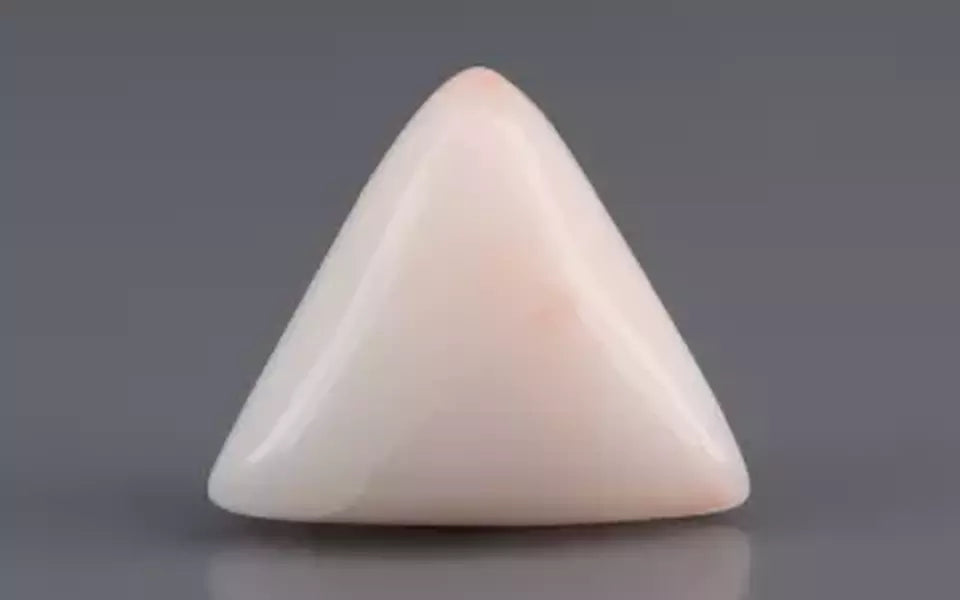 Italian White Coral - 6.76 Carat Limited Quality TWC-22021