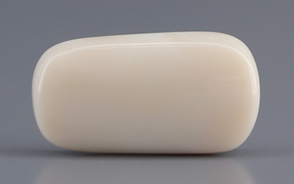 Italian White Coral - 7.2 Carat Prime Quality WC-7609