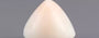 Italian White Coral - 7.39 Carat Limited Quality TWC-22059