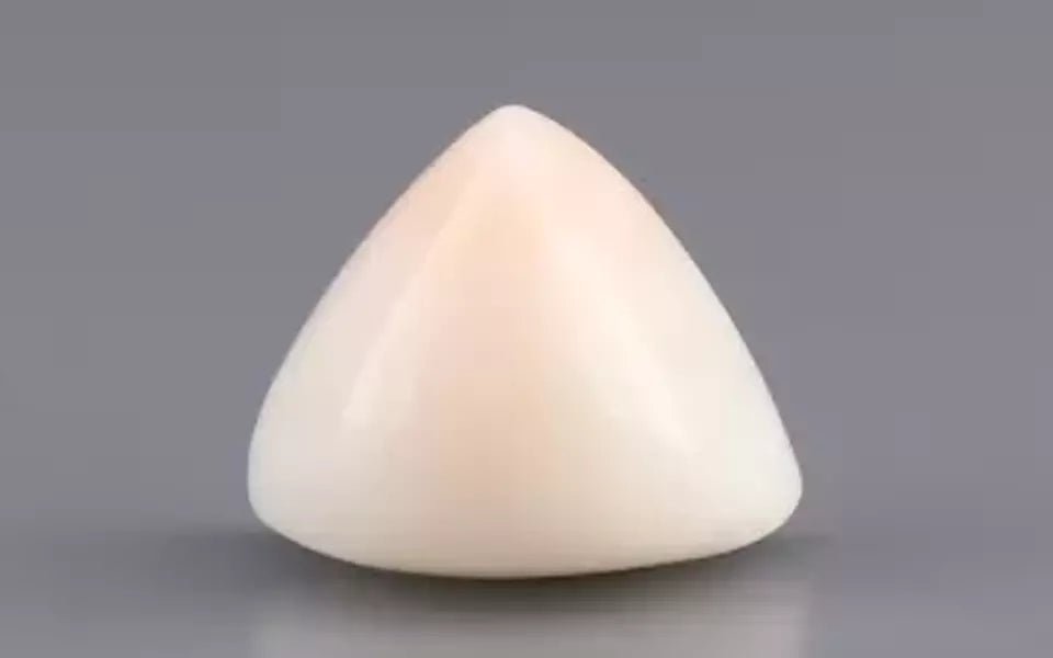 Italian White Coral - 7.39 Carat Limited Quality TWC-22059