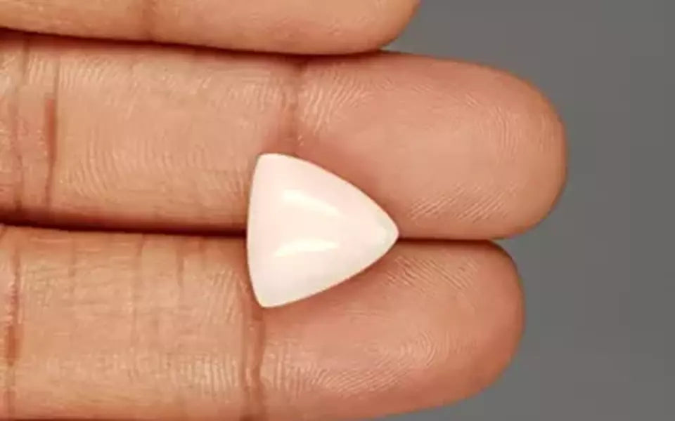 Italian White Coral - 7.67 Carat Limited Quality TWC-22063