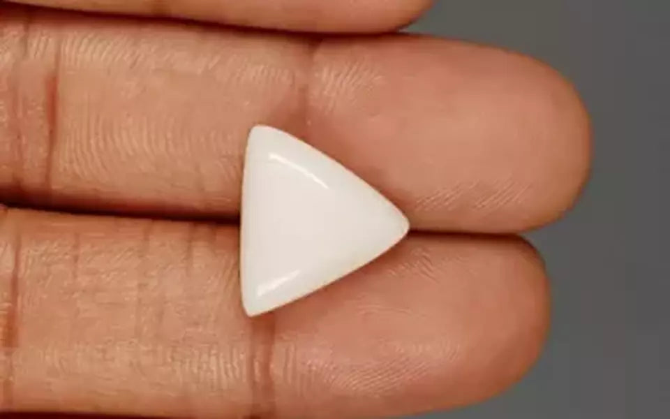Italian White Coral - 7.96 Carat Limited Quality TWC-22067