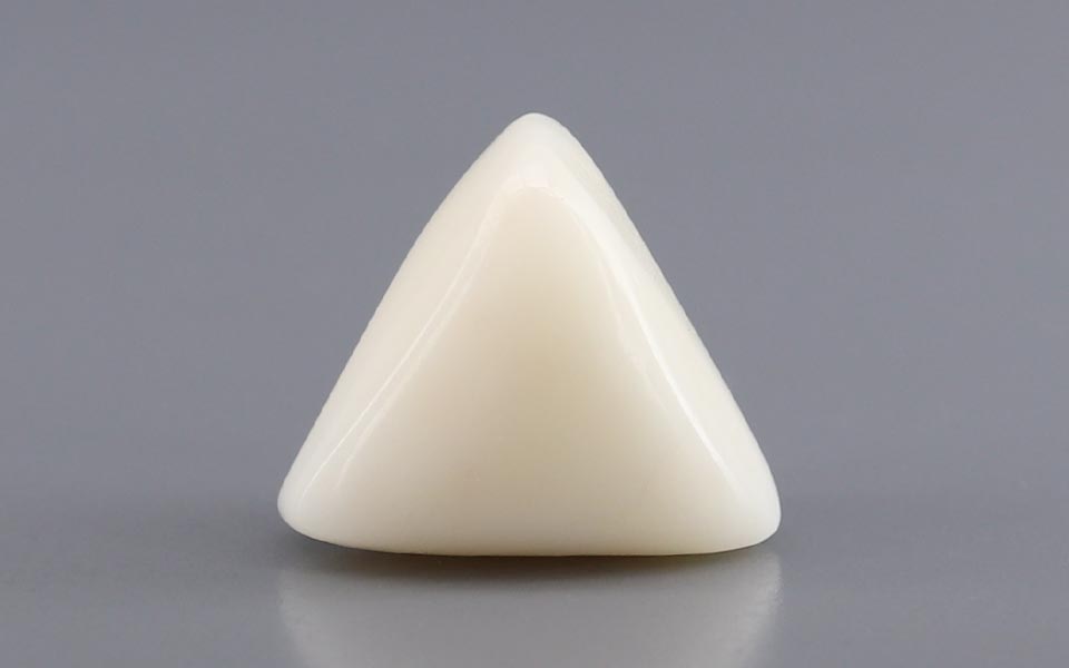 Italian White Coral - 8.43 Carat Rare Quality TWC-22101