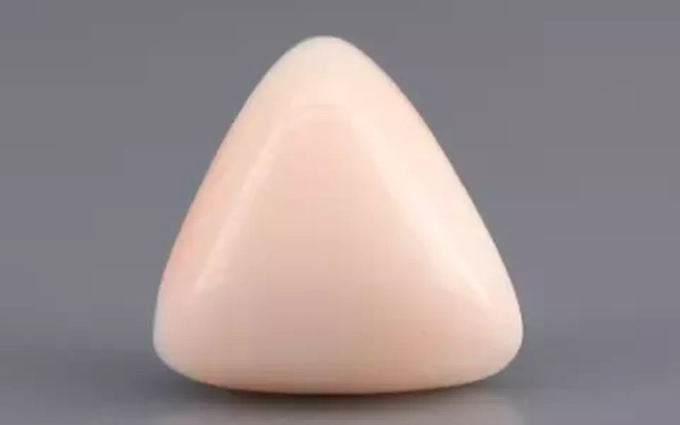 Italian White Coral - 8.45 Carat Limited Quality TWC-22066