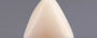 Italian White Coral - 8.51 Carat Limited Quality TWC-22068