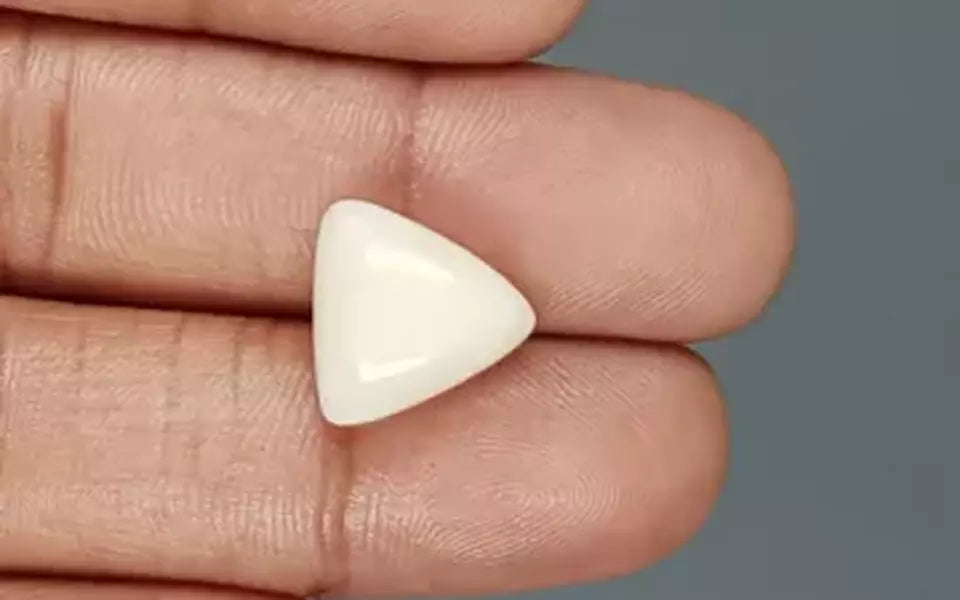 Italian White Coral - 8.69 Carat Limited Quality TWC-22052