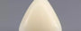 Italian White Coral - 8.69 Carat Limited Quality TWC-22052