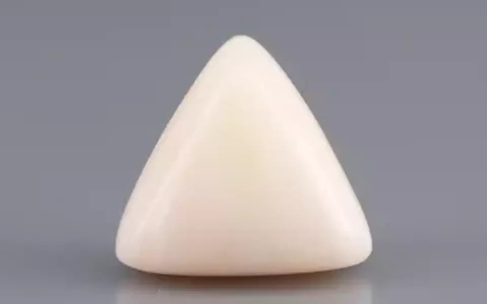 Italian White Coral - 9.09 Carat Limited Quality TWC-22053
