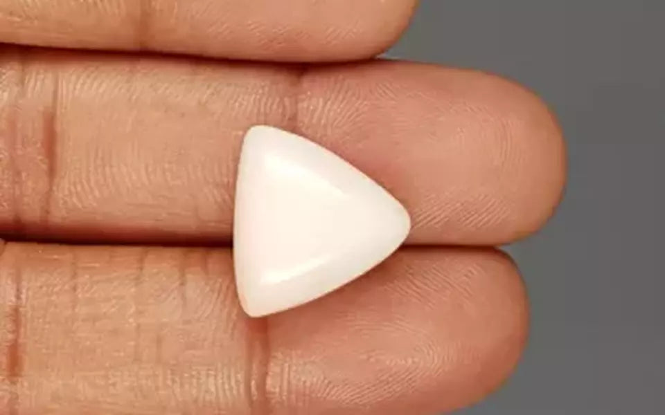 Italian White Coral - 9.27 Carat Limited Quality TWC-22056