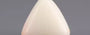Italian White Coral - 9.27 Carat Limited Quality TWC-22056