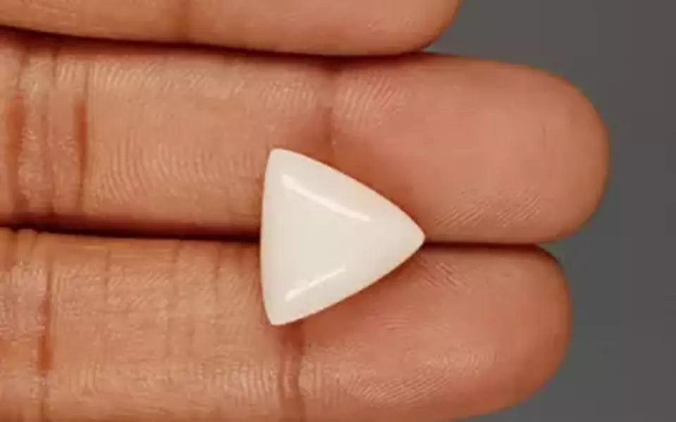 Italian White Coral - 9.57 Carat Limited Quality TWC-22071
