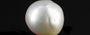 Japanese Keshi Pearl - 5.88 Carat Prime Quality SSP-8902