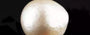 Japanese Keshi Pearl - 6.60 Carat Prime Quality SSP-8901