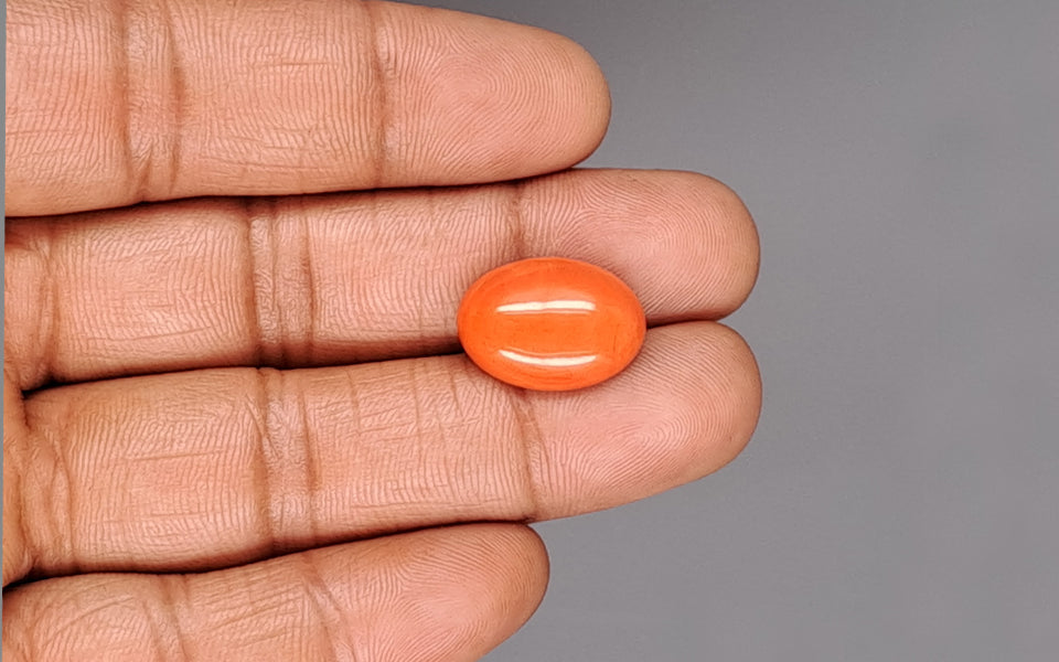 Red Coral - 10.35 Carat (11.44 Ratti - Moonga)