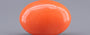 Red Coral - 10.35 Carat (11.44 Ratti - Moonga)