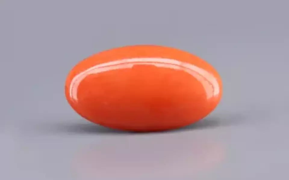 Red Coral - 10.36 Carat (11.45 Ratti - Moonga)