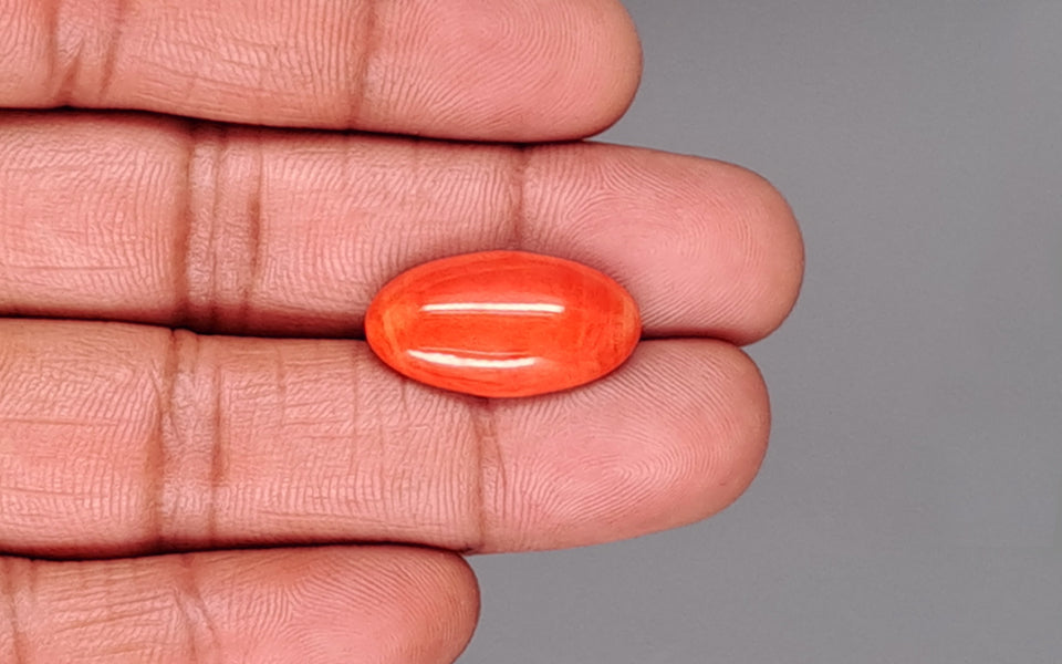 Red Coral - 10.90 Carat (12.04 Ratti - Moonga)