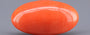 Red Coral - 10.90 Carat (12.04 Ratti - Moonga)