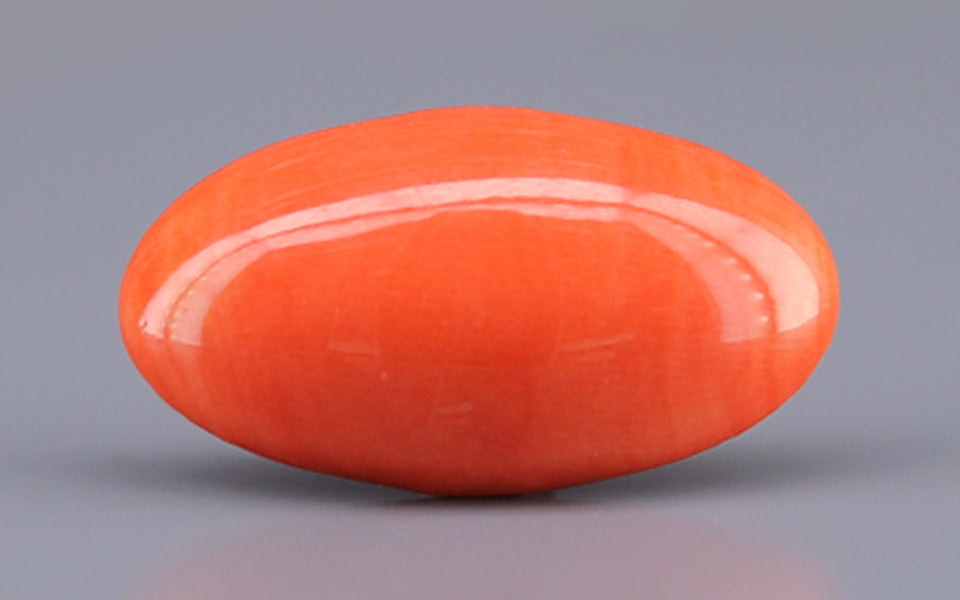 Red Coral - 10.90 Carat (12.04 Ratti - Moonga)