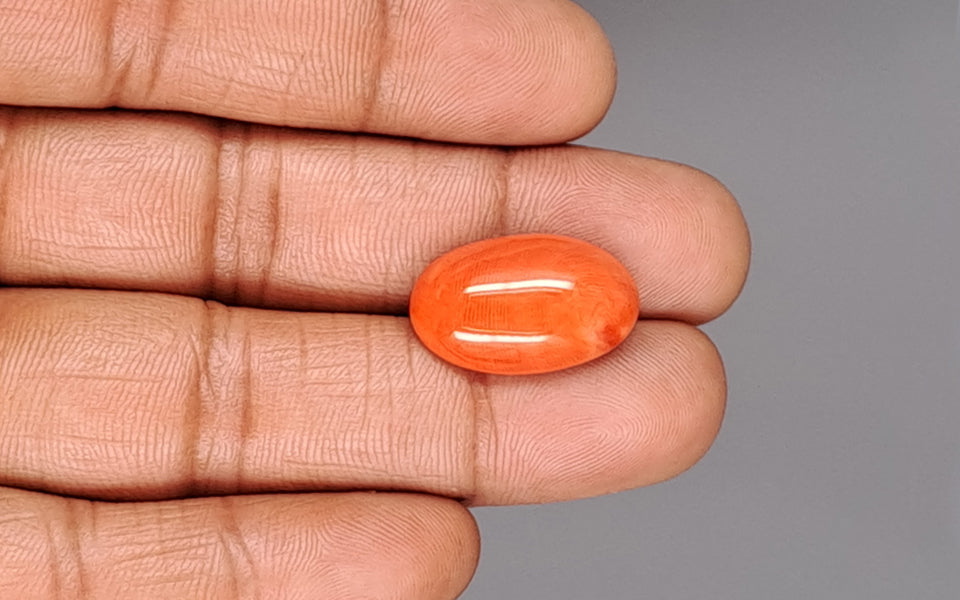 Red Coral - 13.22 Carat (14.61 Ratti - Moonga)