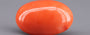 Red Coral - 13.22 Carat (14.61 Ratti - Moonga)