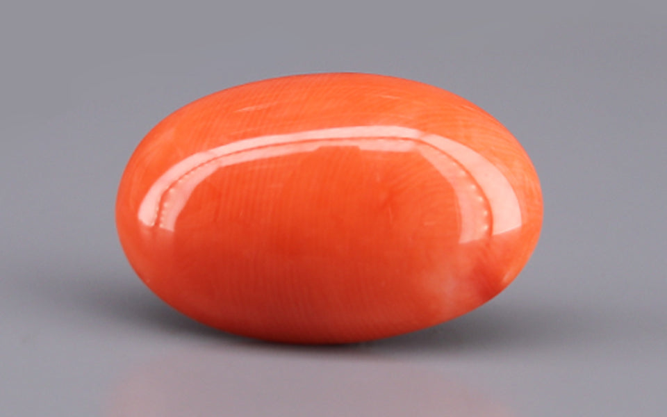 Red Coral - 13.22 Carat (14.61 Ratti - Moonga)