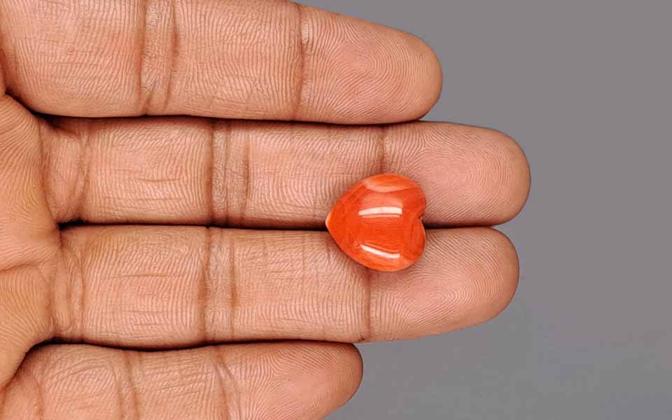 Red Coral - 13.31 Carat (14.71 Ratti - Moonga)