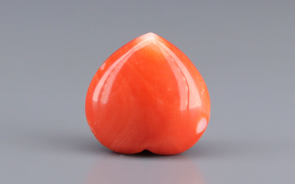Red Coral - 13.31 Carat (14.71 Ratti - Moonga)