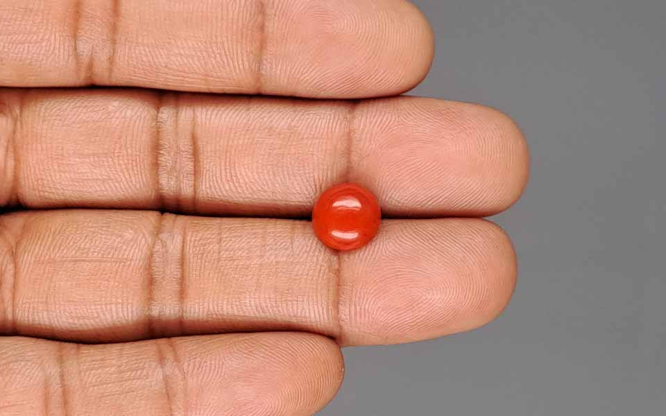 Red Coral - 2.31 Carat (2.55 Ratti - Moonga)