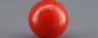 Red Coral - 2.31 Carat (2.55 Ratti - Moonga)