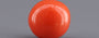Red Coral - 2.74 Carat (3.03 Ratti - Moonga)