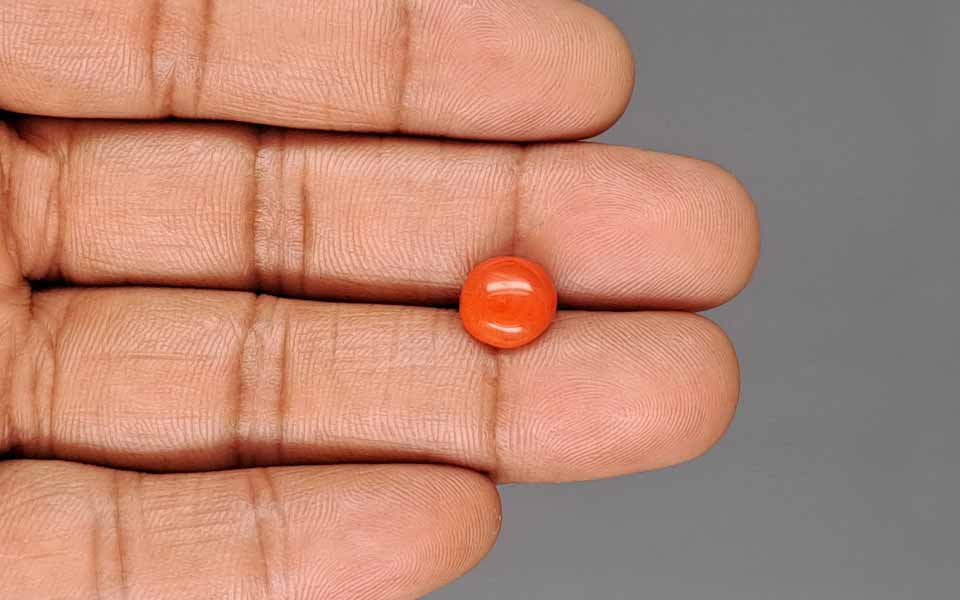 Red Coral - 2.74 Carat (3.03 Ratti - Moonga)