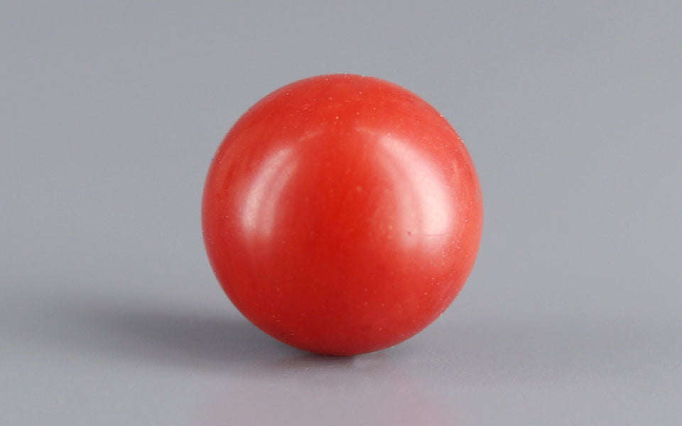 Red Coral - 3.08 Carat (3.40 Ratti - Moonga)
