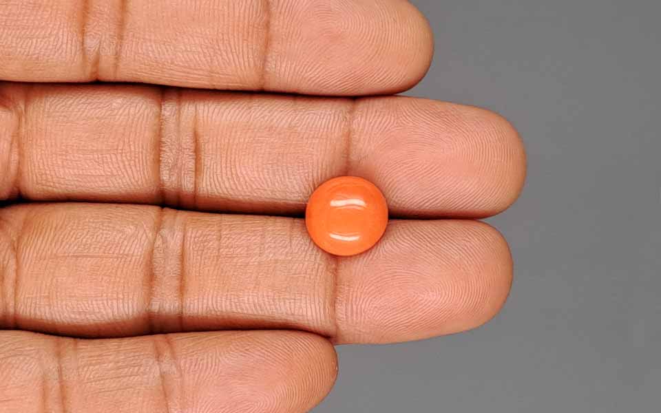 Red Coral - 3.58 Carat (3.96 Ratti - Moonga)