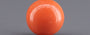 Red Coral - 3.58 Carat (3.96 Ratti - Moonga)