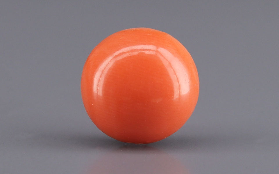 Red Coral - 3.58 Carat (3.96 Ratti - Moonga)